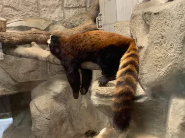 天王寺動物園に投稿された画像（2023/7/15）