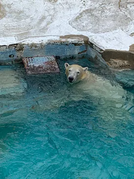 天王寺動物園に投稿された画像（2023/7/15）