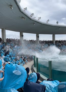鴨川シーワールドに投稿された画像（2023/7/15）