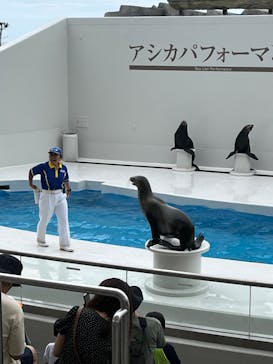 鴨川シーワールドに投稿された画像（2023/7/15）