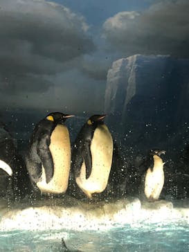 名古屋港水族館に投稿された画像（2023/7/15）