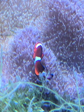 名古屋港水族館に投稿された画像（2023/7/15）