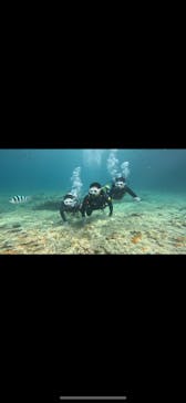 沖縄マリンサービス碧に投稿された画像（2023/7/15）