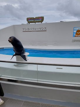 鴨川シーワールドに投稿された画像（2023/7/15）