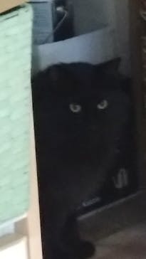 Bottega TraModa（ボッテーガ トラモーダ）に投稿された画像（2023/7/9）