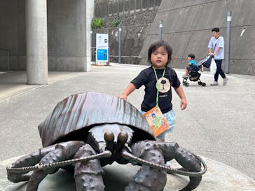 城崎マリンワールドに投稿された画像（2023/7/15）