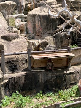 到津の森公園に投稿された画像（2023/7/15）