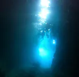 武藤潜水に投稿された画像（2023/7/15）