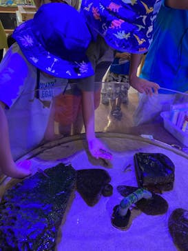 南知多ビーチランド＆南知多おもちゃ王国に投稿された画像（2023/7/15）