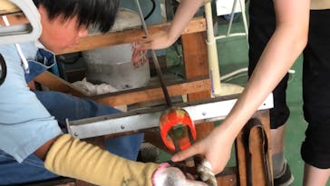 東京ガラス工芸研究所に投稿された画像（2023/7/15）