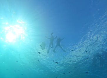 青の洞窟専門店　沖縄ダイビングショップ和に投稿された画像（2023/7/15）