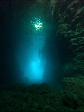 青の洞窟専門店　沖縄ダイビングショップ和に投稿された画像（2023/7/15）