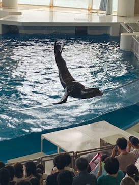 アクアワールド茨城県大洗水族館に投稿された画像（2023/7/15）