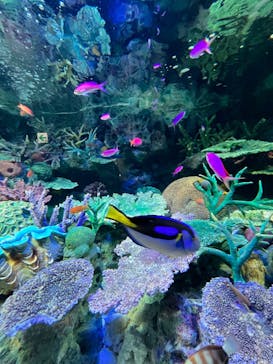 サンシャイン水族館に投稿された画像（2023/7/15）