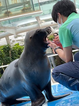 サンシャイン水族館に投稿された画像（2023/7/15）