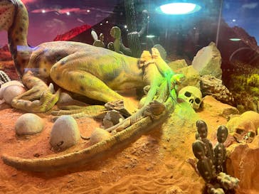 NARA IKIMONO MUSEUMに投稿された画像（2023/7/15）