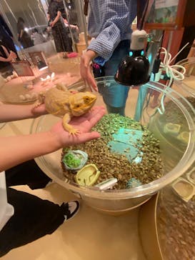 Moff animal cafe イオンモール幕張新都心店に投稿された画像（2023/7/15）