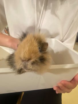 Moff animal cafe イオンモール幕張新都心店に投稿された画像（2023/7/15）