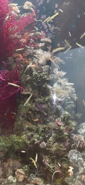 環境水族館アクアマリンふくしまに投稿された画像（2023/7/15）