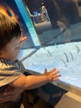 すみだ水族館に投稿された画像（2023/7/15）