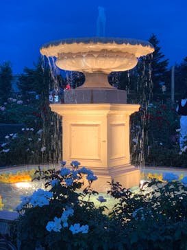 京成バラ園に投稿された画像（2023/7/15）