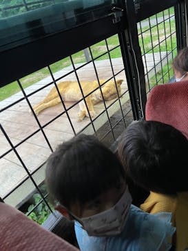 那須サファリパークに投稿された画像（2023/7/15）