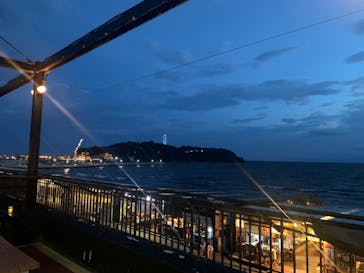 新江ノ島水族館に投稿された画像（2023/7/15）