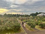 京成バラ園に投稿された画像（2023/7/15）