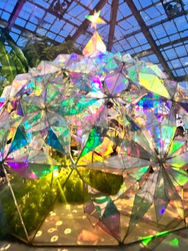 京成バラ園に投稿された画像（2023/7/15）