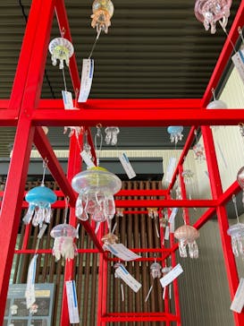 京都水族館に投稿された画像（2023/7/15）