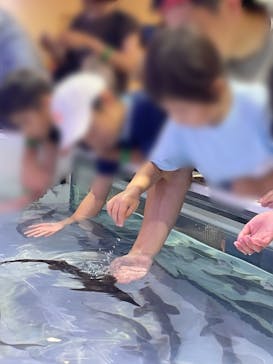 南知多ビーチランド＆南知多おもちゃ王国に投稿された画像（2023/7/15）