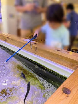 南知多ビーチランド＆南知多おもちゃ王国に投稿された画像（2023/7/15）