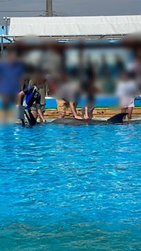 南知多ビーチランド＆南知多おもちゃ王国に投稿された画像（2023/7/15）