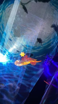 南知多ビーチランド＆南知多おもちゃ王国に投稿された画像（2023/7/15）