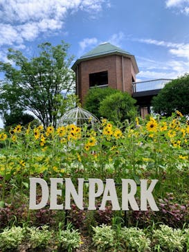 安城産業文化公園デンパークに投稿された画像（2023/7/15）