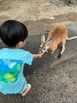 秋吉台自然動物公園 サファリランドに投稿された画像（2023/7/15）