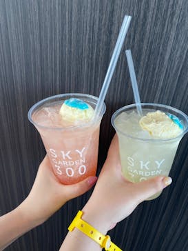 ハルカス300(展望台)に投稿された画像（2023/7/15）