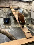 天王寺動物園に投稿された画像（2023/5/21）