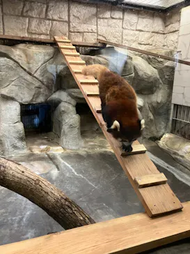 天王寺動物園に投稿された画像（2023/5/21）