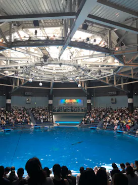 マクセル アクアパーク品川に投稿された画像（2023/7/15）