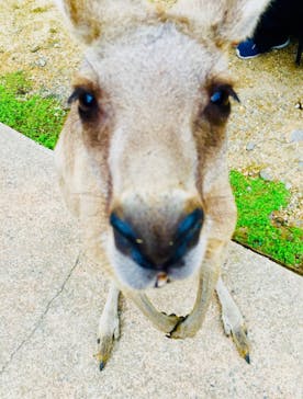 長崎バイオパークに投稿された画像（2023/7/15）