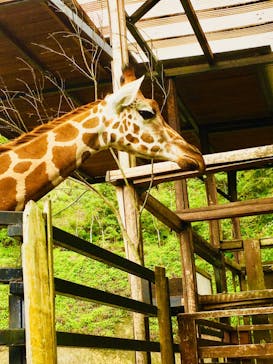 長崎バイオパークに投稿された画像（2023/7/15）