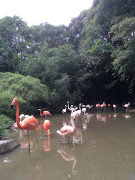 長崎バイオパークに投稿された画像（2023/7/15）