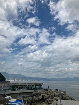 大分マリーンパレス水族館 「うみたまご」に投稿された画像（2023/7/15）