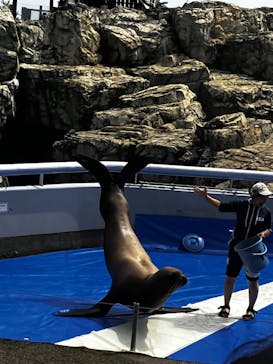 大分マリーンパレス水族館 「うみたまご」に投稿された画像（2023/7/15）