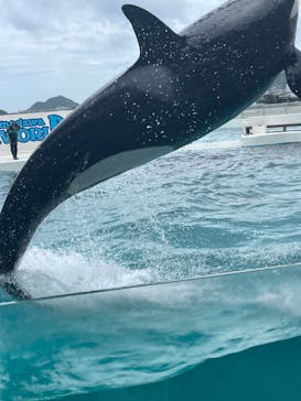 鴨川シーワールドに投稿された画像（2023/7/16）