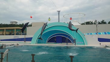 鴨川シーワールドに投稿された画像（2023/7/16）