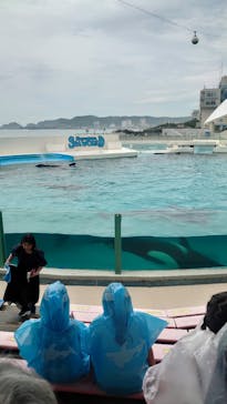 鴨川シーワールドに投稿された画像（2023/7/16）