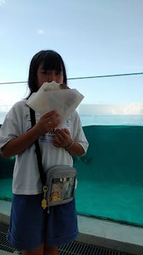 鴨川シーワールドに投稿された画像（2023/7/16）