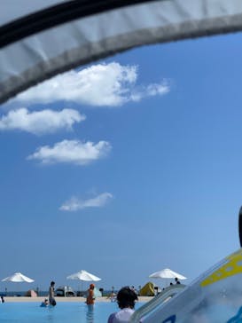 芝政ワールドに投稿された画像（2023/7/16）